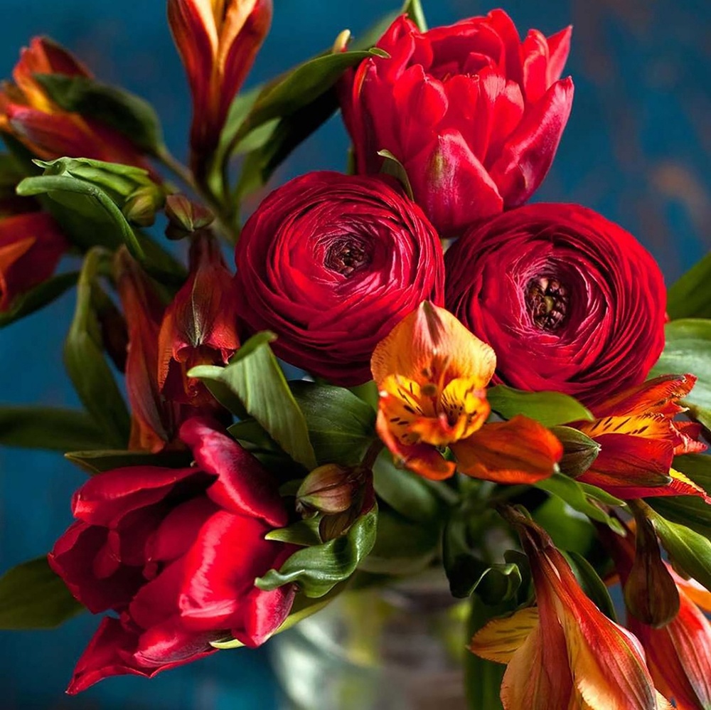 Meet your Posher, Mauro